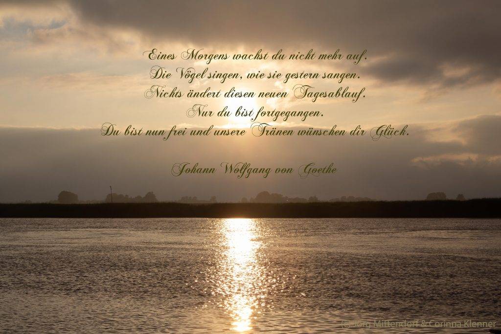 Gedicht Goethe